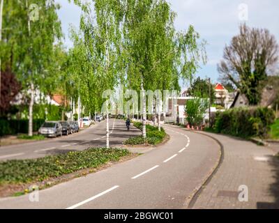 Perspective view over a birch alley street with lonely woman riding a bike during coronavirus covid-19 lockdown in France