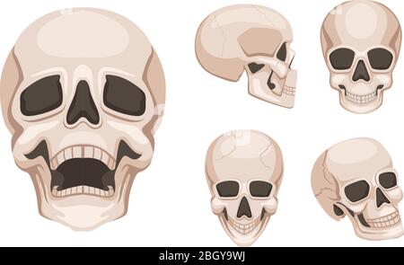 Human skull at different sides. Vector monochrome pictures. Skull skeleton head, death spooky and creepy illustration Stock Vector