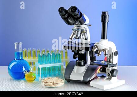 Microscopes, Petri dish with samples of grain and test tubes on table, on color background Stock Photo
