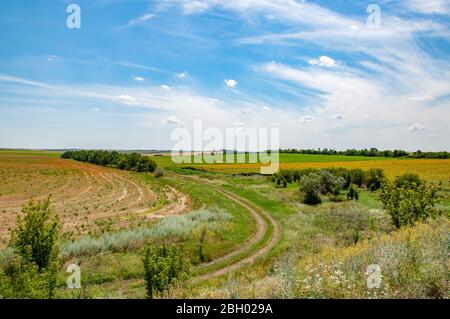 Country road of tranquil landscape in farmland with green and yellow fields. Rural view and light cloudscape in summertime. Stock Photo