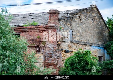 Abandoned house with dilapidated brick walls overgrown by climbing plants and trees. Texture of brickwork ruined building. Stock Photo