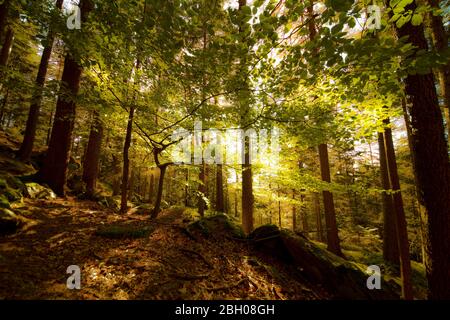 typical backyard in austria Stock Photo