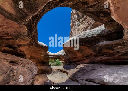 A natural red sandstone cave carved by water and wind on the Hickman Bridge trail at Capitol Reef, Utah Stock Photo