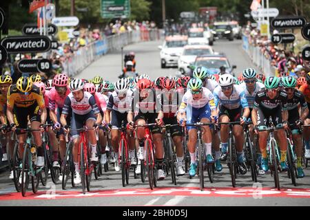 ADELAIDE, SOUTH AUSTRALIA - JANUARY 22, 2020: Thomas De Gendt leads Caleb Ewan of Lotto-Soudal in the peleton into Stirling during Stage 2 from Woodsi Stock Photo