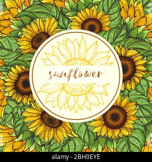 Background illustration with sunflowers and place for your text. Sunflower banner emblem, organic sun flower garden vector Stock Vector