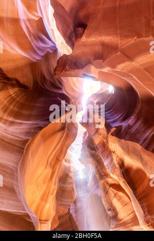 In the vault of the Upper Antelope Canyon, Arizona, a beam of sunlight shines from an opening Stock Photo