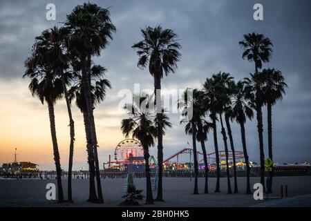 Iconic sunset at Santa Monica, with a group of palm trees in the foreground, and the pier in the background Stock Photo