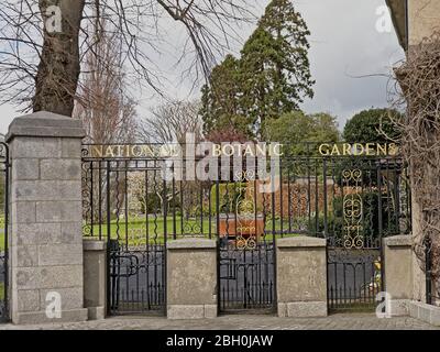 Entrance gate to Dublin botanic gardens in black and gold painted decorative ironwork, with park with trees behind Stock Photo