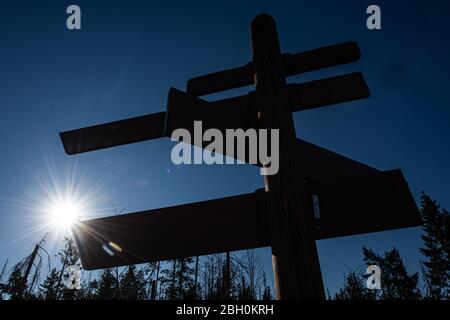 23 April 2020, Lower Saxony, Oderbrück: The sun shines behind a signpost at the Oderteich in the Harz Mountains. Photo: Swen Pförtner/dpa Stock Photo