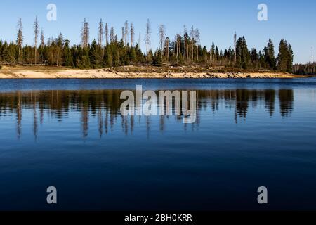 23 April 2020, Lower Saxony, Oderbrück: Spruce and partially dead spruce trunks are reflected in the Oderteich in the Harz Mountains. Photo: Swen Pförtner/dpa Stock Photo