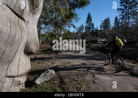 23 April 2020, Lower Saxony, Oderbrück: A cyclist passes a carved figure at the Oderteich in the Harz Mountains. Photo: Swen Pförtner/dpa Stock Photo