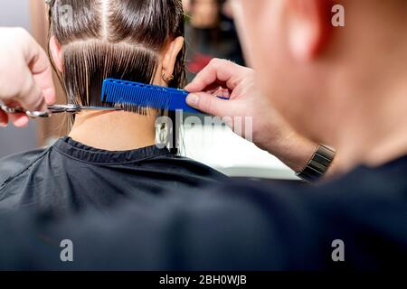 Back view hairdresser is cutting woman's hair in hair salon. Stock Photo