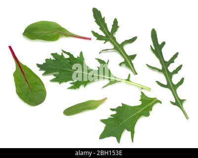 Mix of fresh lettuce, top view isolated on white background Stock Photo