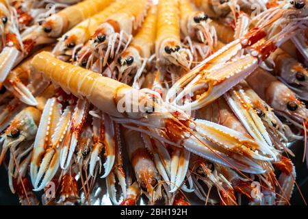 langoustines on a stand at the fish market in a market hall, Spain, Andalusia, Cadiz Stock Photo