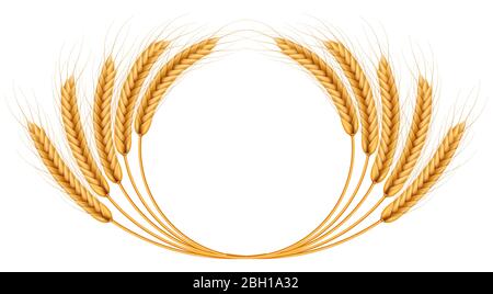 Bunch of wheat ears, dried whole grains realistic illustration frame isolated on white background. Bakery object template. Wheat ears wreath. EPS 10 Stock Vector
