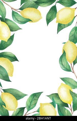 Watercolor frame of branches and leaves on a white background for ...
