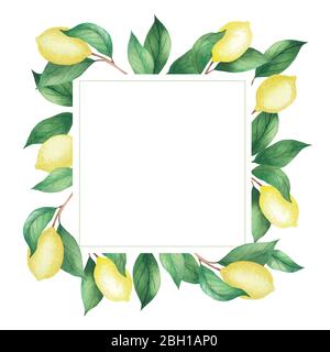 Watercolor square frame of lemons and green branches, leaves. Isolated drawing on a white background Stock Photo