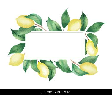 Watercolor rectangular frame of lemons and green branches, leaves. Isolated drawing on a white background Stock Photo