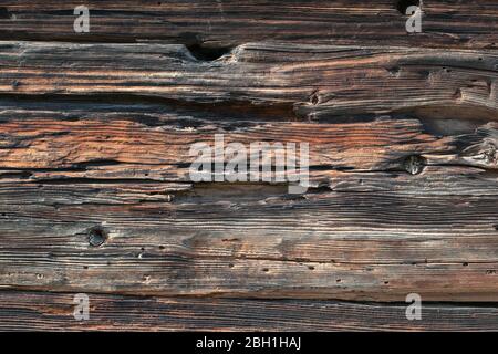 Old eroded wood texture. Old wood natural pattern. Aged brown wood background. Oak wood texture. Stock Photo