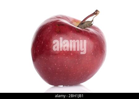 One whole red delicious apple isolated on white Stock Photo