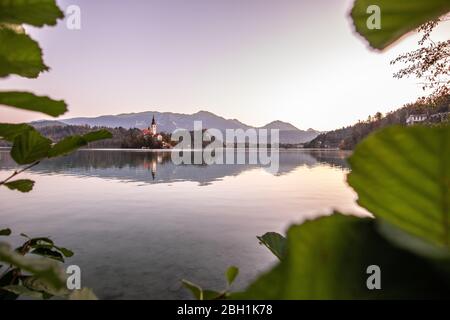 Autumn morning in the Bled Lake. sunrise Stock Photo