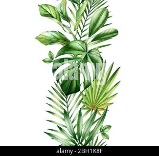 Watercolor tropical seamless border. Vertical repetitive patter. Decoration with jungle greenery. Exotic palm leaves, monstera, isolated on white Stock Photo