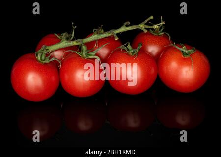 Lot of whole fresh red cherry tomato on vine isolated on black glass Stock Photo