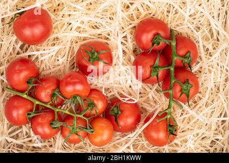 Lot of whole fresh red cherry tomato on straw mat Stock Photo