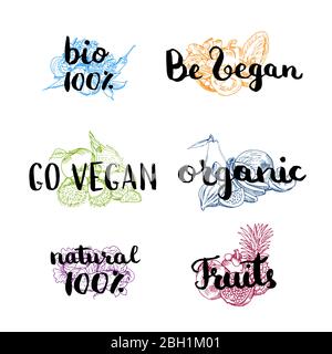 Vector doodle handdrawn colored piles of fruits and vegetables with vegan, organic, natural lettering. Set of vegan text illustration Stock Vector
