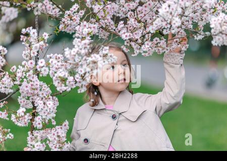 Portrait of little girl in a park watching blossoms of Japanese Cherry
