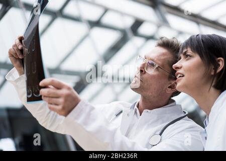 Two doctors looking at x-ray images Stock Photo