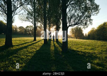 Silhouette of man walking in a park at sunrise Stock Photo