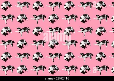 Pattern of black and white cat lying against pink background Stock Photo