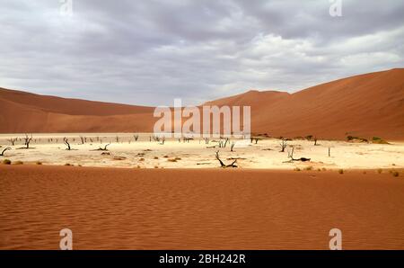 Namibia, Sossusvlei pan surrounded by desert dunes Stock Photo