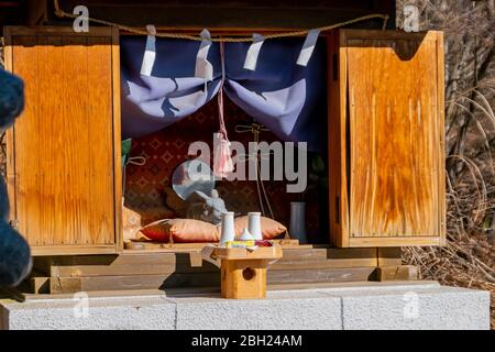 KAWAGUCHIKO, JAPAN – FEBRUARY 9,2020 : Usagi Jinja or Rabbit Shrine, small shrine dedicated to the rabbit from the story of Kachi Kachi Yama, at Tenjō Stock Photo