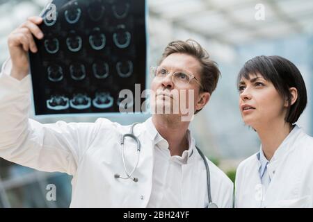 Two doctors looking at x-ray images Stock Photo