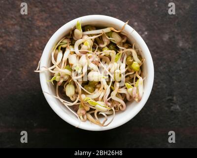 Bowl of fresh mung bean sprouts (Vigna radiata)