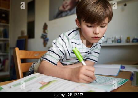 Portrait of boy doing homework Stock Photo