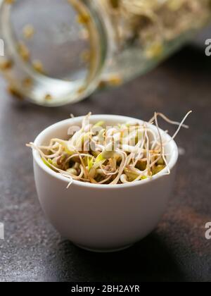 Bowl of fresh mung bean sprouts (Vigna radiata)