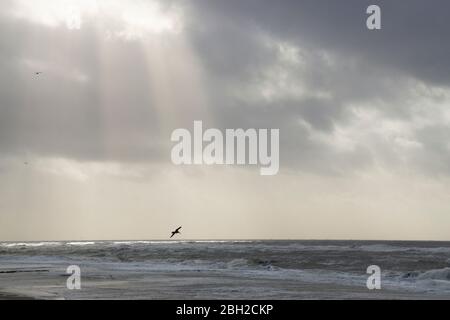 Dark clouds over the North sea, Sylt, North Frisian Island, North Frisia, Schleswig-Holstein, Germany, Europe Stock Photo