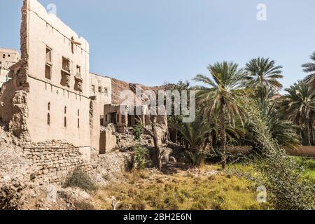 Oman, Ad Dakhiliyah, Izki, Palm trees in front of old ruins Stock Photo