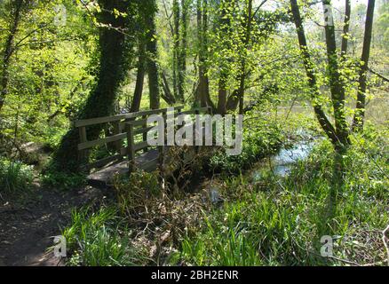 Dimminsdale Nature Reserve Stock Photo