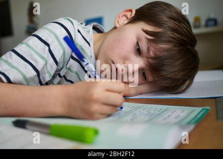 Portrait of boy doing homework Stock Photo