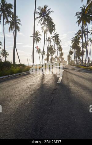 Ghana, Sun shining over palm trees along empty asphalt road Stock Photo