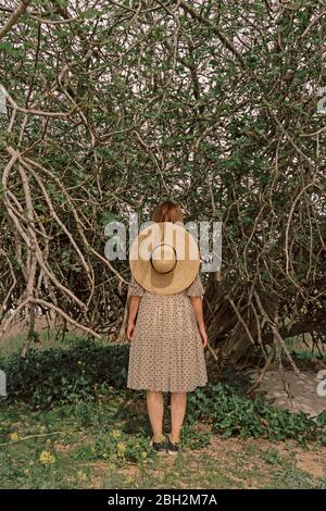 Rear view of woman in straw hat walking through tall green grass with ...