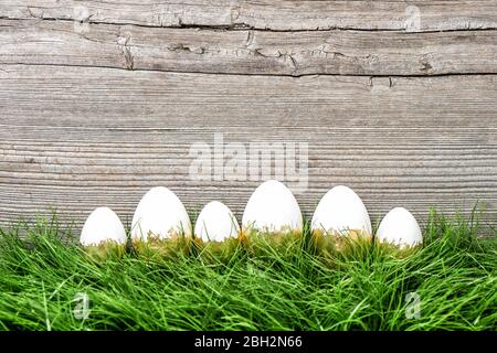Easter decoration. Easter eggs in green grass Stock Photo