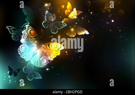 Night glowing butterflies on black abstract background. Stock Vector