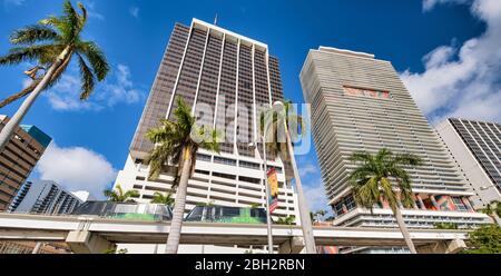 Buildings and monorail of Downtown Miami with palms on a sunny day. Sky with clouds, Florida Stock Photo