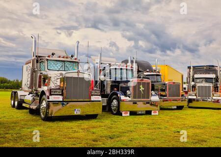 Two heavy big rigs semi trucks of various types and models with ...