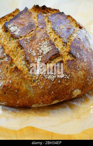 Loaf of crusty miracle overnight no knead bread baked on parchment paper Stock Photo